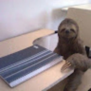 Meet your Posher, Slow